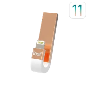 Leef iBridge 3 Mobile Memory - Gold